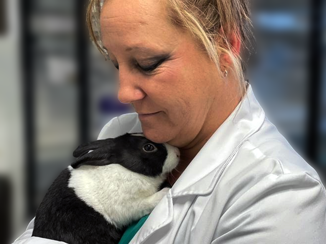 Segrest Inc. employee holding Black and White Rabbit