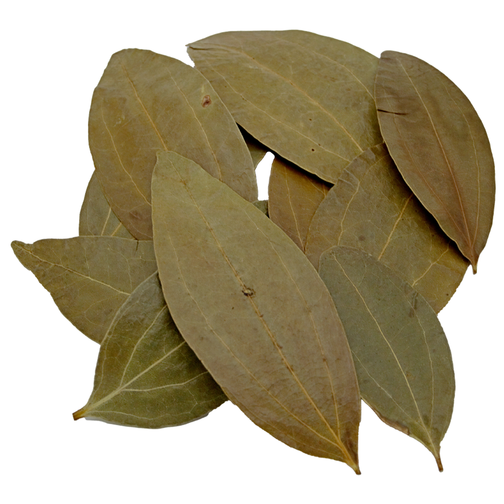 HydrOasis™ Cinnamon Leaves