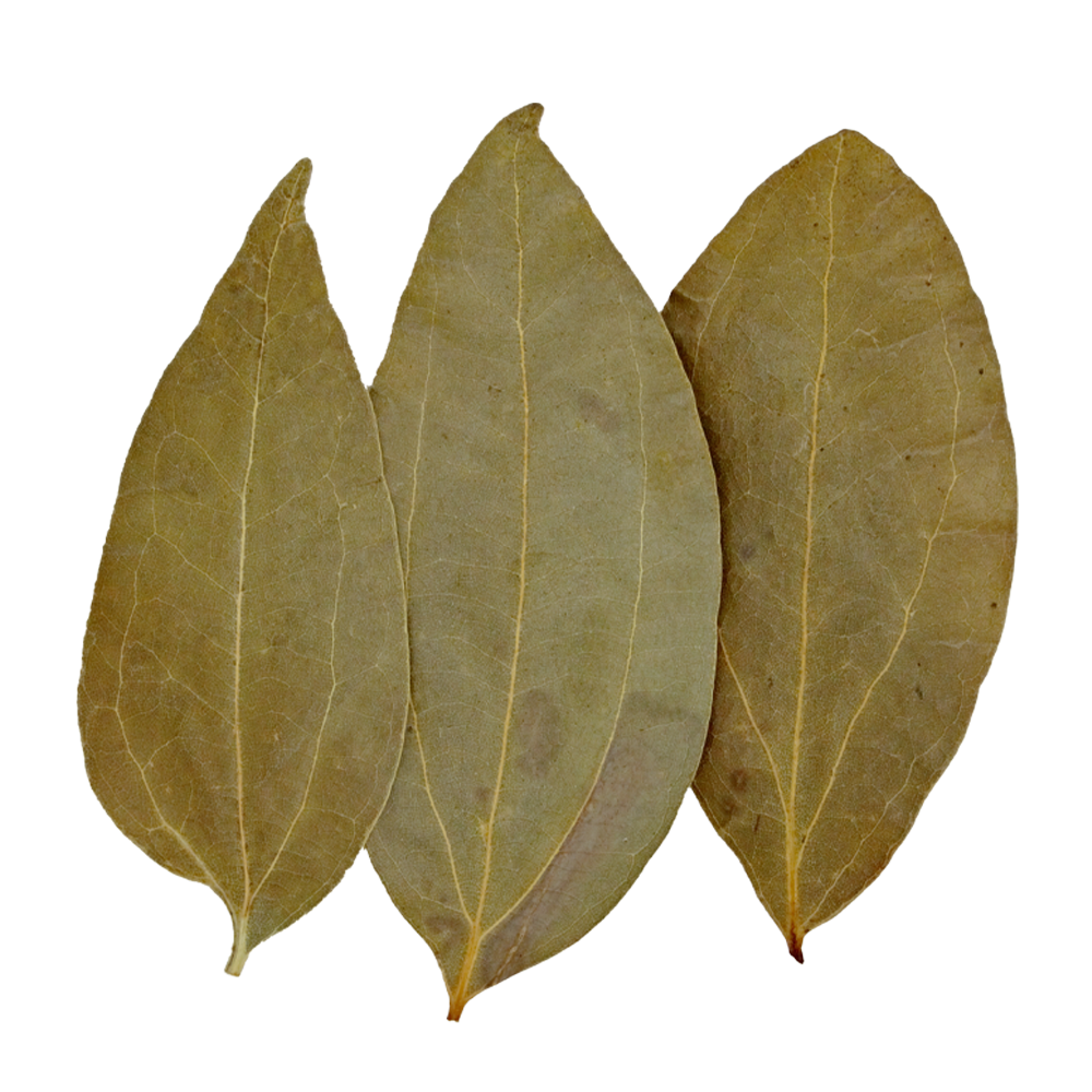 HydrOasis™ Cinnamon Leaves