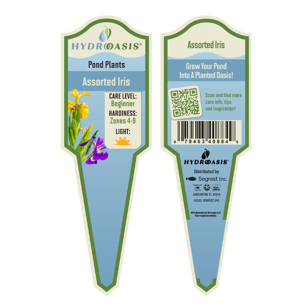 HydrOasis™ Assorted Iris stake