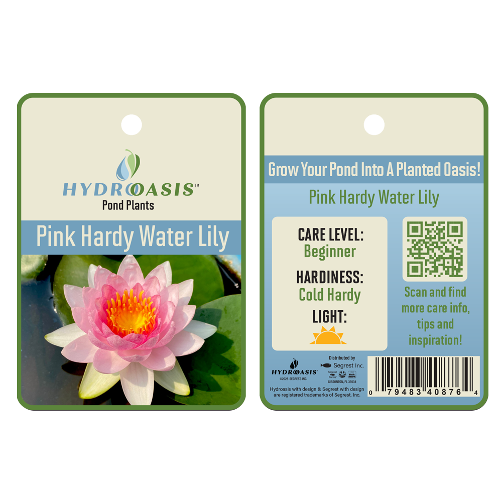 HydrOasis™ Pink Hardy Water Lily tag