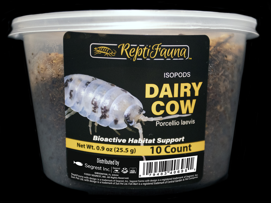 ReptiFauna™ Dairy Cow Isopods Cup