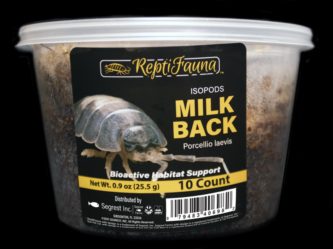 ReptiFauna™ Milkback Isopods Cup