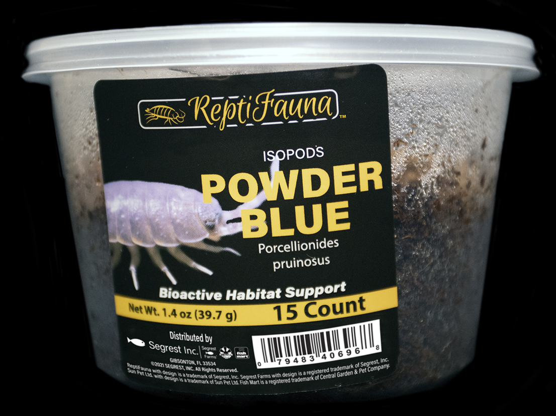 ReptiFauna™ Powder Blue Isopods Cup