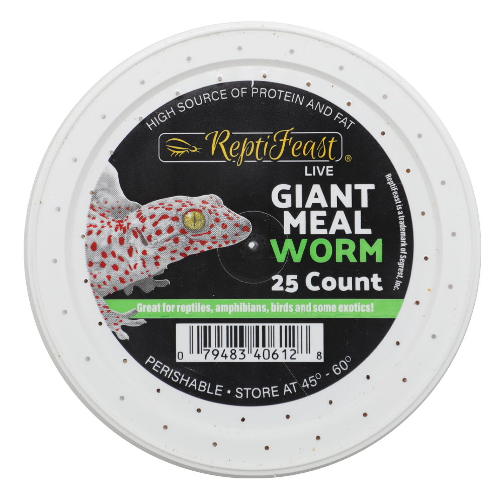 ReptiFeast® Giant Mealworm 25 count