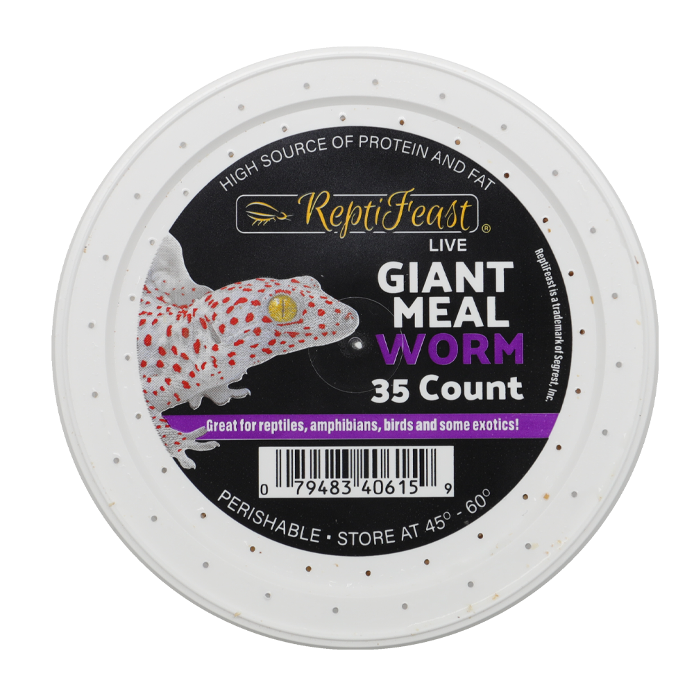 ReptiFeast® Giant Mealworm 35 count