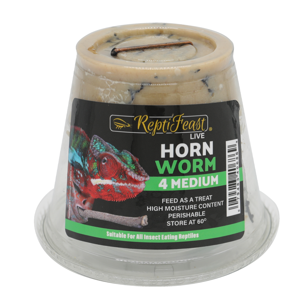 ReptiFeast® Hornworm 4 count