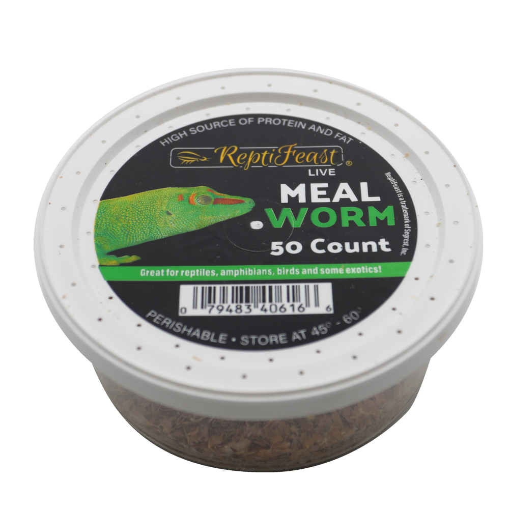 ReptiFeast® Mealworm 50 count